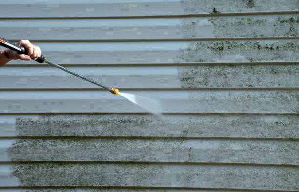 Best Concrete Pressure Washing  in Dresden, TN