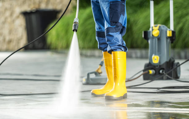 Best Pressure Washing Near Me  in Dresden, TN